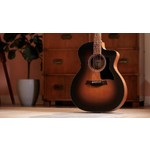 Taylor 114ce Special Edition Dark Tobacco Burst