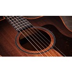 Taylor Sunset Blvd 24ce Edgeburst