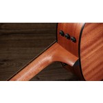 Taylor 117e Special Edition Dark Tobacco Burst