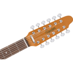 Squier Paranormal Troy Van Leeuwen Telecaster XII