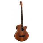 Tanglewood TRU7ABCE-AW Reunion Pro Super Jumbo Acoustic Bass Walnut