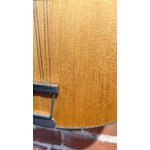 Pre Loved David Oddy Mandocello inc Hiscox Case
