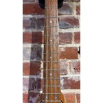 Pre Loved David Oddy Mandocello inc Hiscox Case