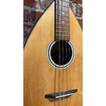 Pre Loved David Oddy Mandocello inc Hiscox Case