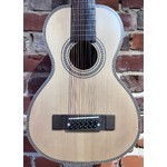 Pre Loved Vintage Viator 12, Paul Brett Inc Gig Bag