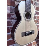 Pre Loved Vintage Viator 12, Paul Brett Inc Gig Bag