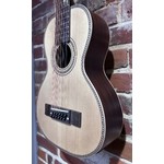 Pre Loved Vintage Viator 12, Paul Brett Inc Gig Bag