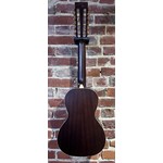 Pre Loved Vintage Viator 12, Paul Brett Inc Gig Bag
